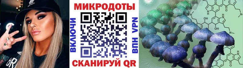 Галлюциногенные грибы MAGIC MUSHROOMS  кракен ссылки  Нарткала 