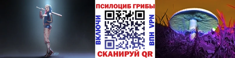 Галлюциногенные грибы Psilocybine cubensis Нарткала